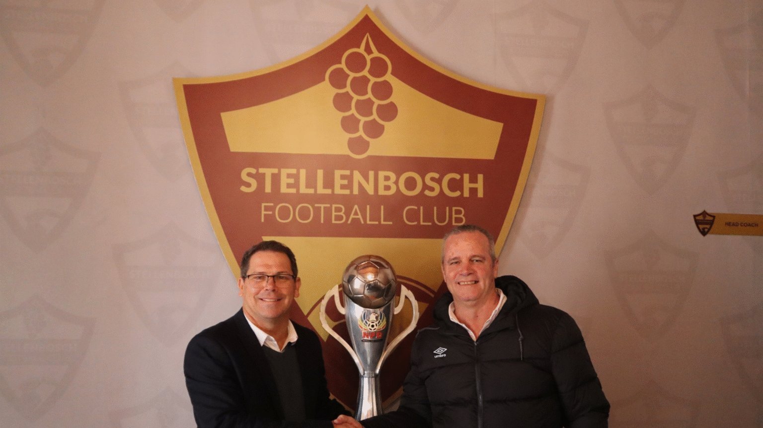 Stellies Unveil Game